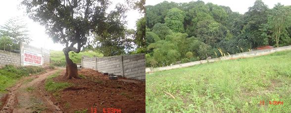 New Site Property